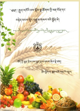 ༄༅། །རྒྱུན་མཁོའི་ཟས་སྐོམ་སྣ་ཚོགས་ཀྱི་ཕན་ཡོན་དང་ བསྟེན་ཐབས་སྙིང་བསྡུས་གསལ་བའི་སྒྲོན་མེ། | Gyonkhoe Zae Khom